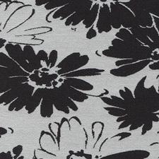 Fabric Samples